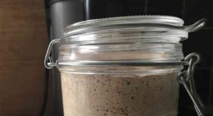 Does Your Sourdough Starter Smell Like Alcohol? (How to Fix) – The