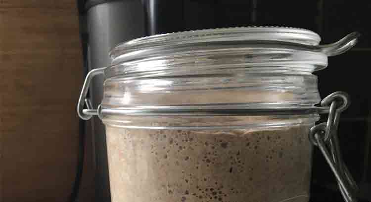 Does Your Sourdough Starter Smell Like Alcohol