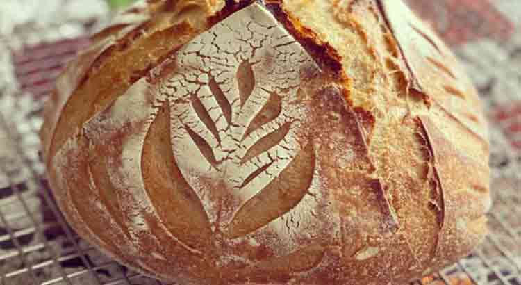 Is Sourdough Bread Vegan