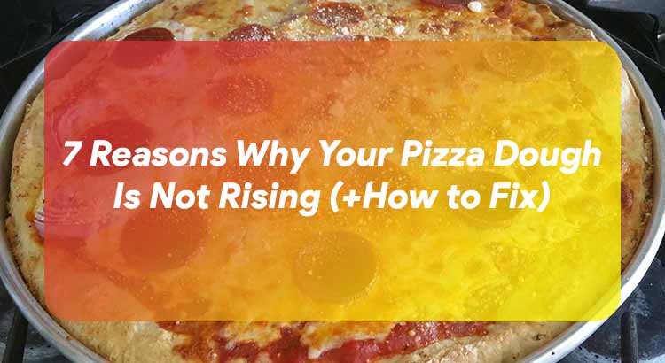 Reasons Why Your Pizza Dough Is Not Rising