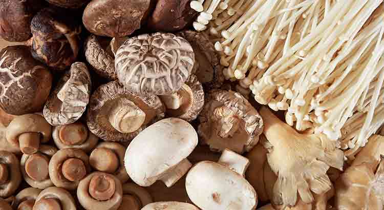 Best Mushrooms for Pizza