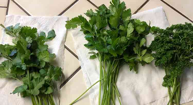 Best Fresh Herbs for Pizza