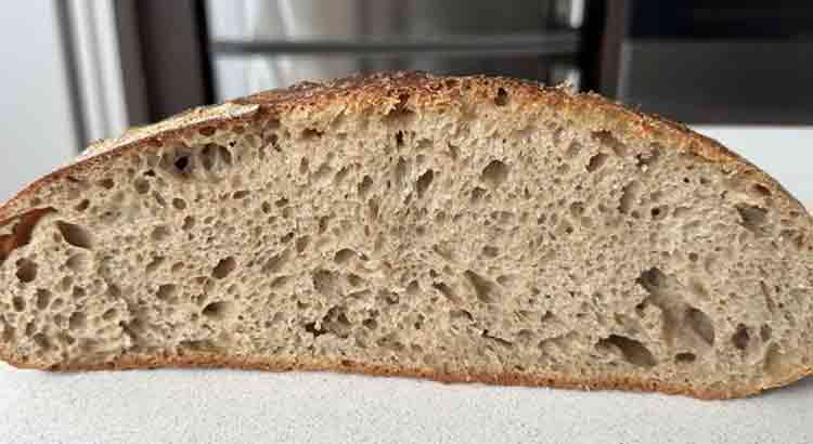 Reasons Sourdough Bread Didn’t Rise in Oven
