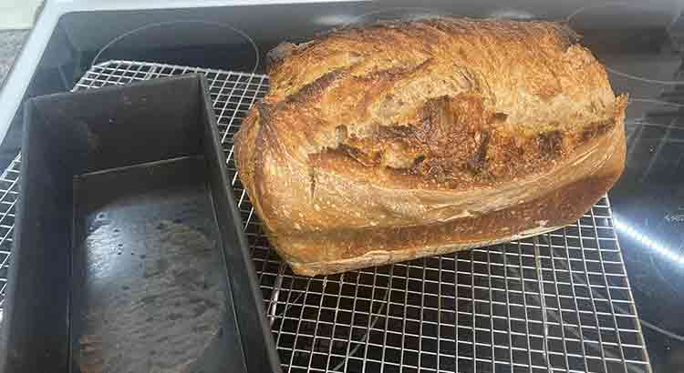 Can You Bake Sourdough in a Loaf Pan