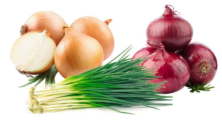 Best Onion for Pizza