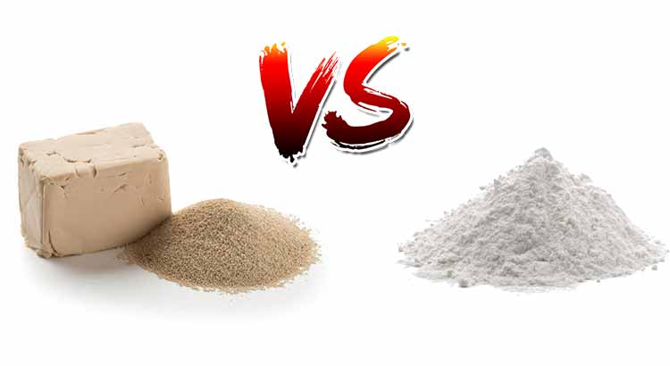 Can I Use Yeast Instead Of Baking Powder A How to Guide The Dough 