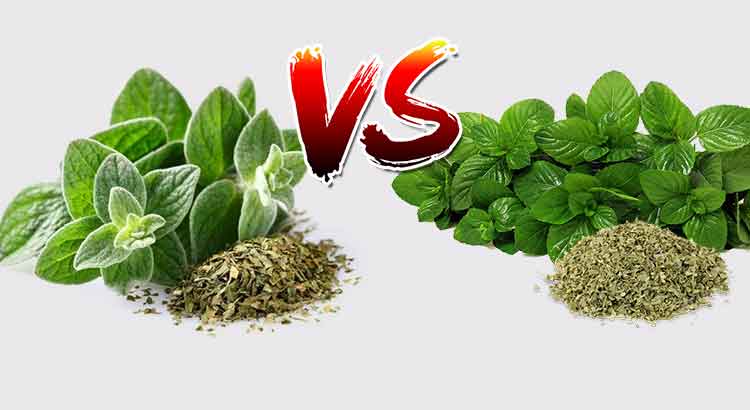 Oregano or Basil on Pizza