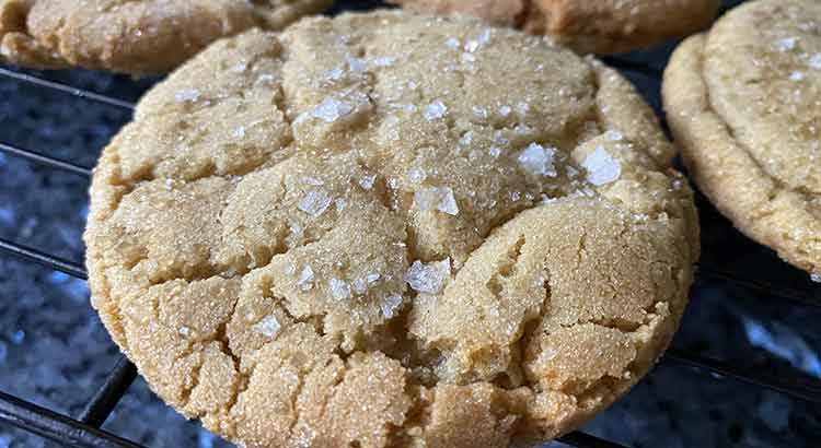 Why Are My Sugar Cookies Hard? (7 Common Problems) – The Dough Academy